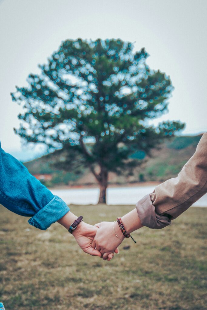 couples therapy